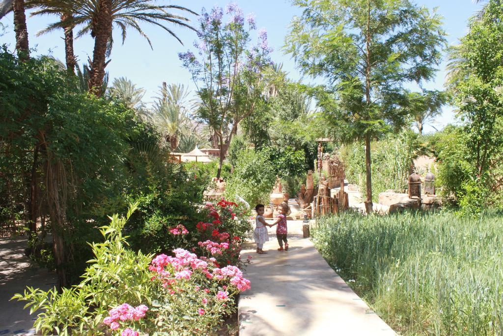 Ecolodge Bab El Oued Maroc Oasis Agdz Buitenkant foto