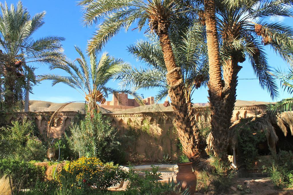 Ecolodge Bab El Oued Maroc Oasis Agdz Buitenkant foto