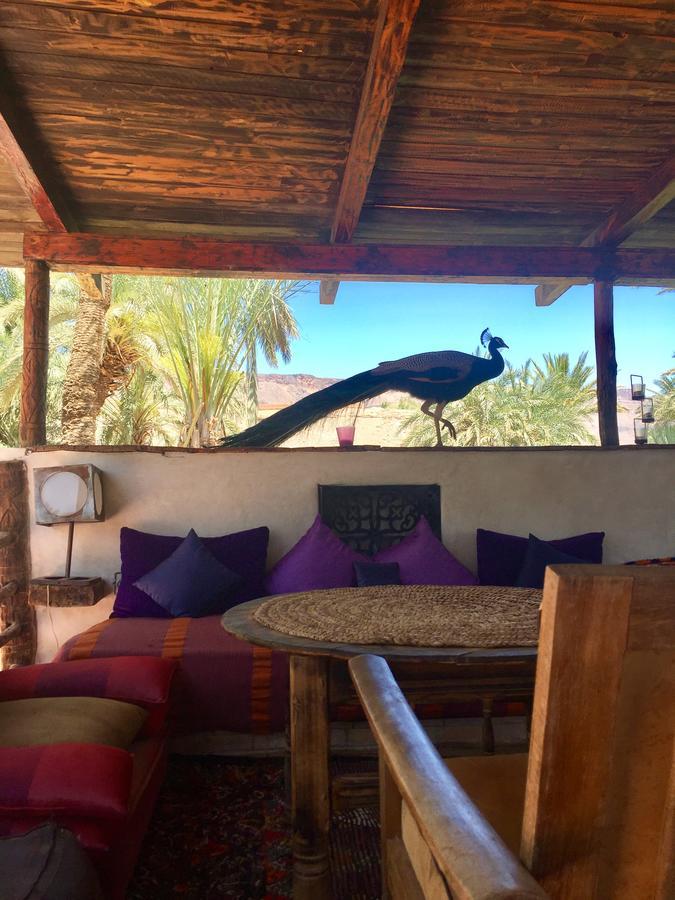 Ecolodge Bab El Oued Maroc Oasis Agdz Buitenkant foto